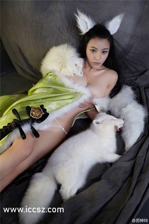 旋风视频在线观看 